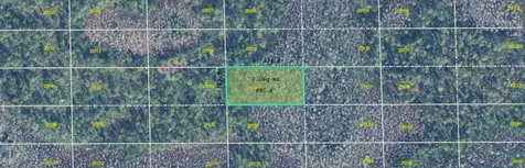 Dill Road Orlando FL 32820