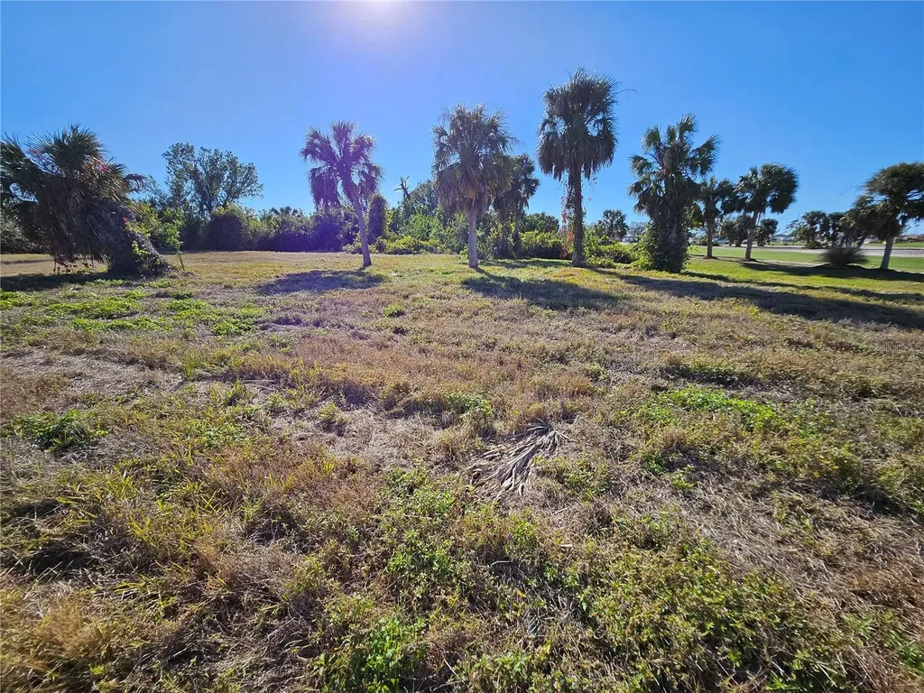 20 Clubhouse Court Rotonda West FL 33947