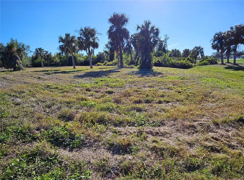 20 Clubhouse Court Rotonda West FL 33947
