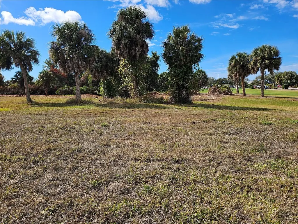 20 Clubhouse Court Rotonda West FL 33947