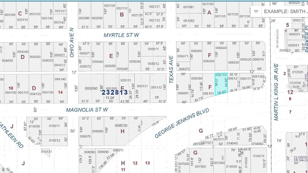 515 W Magnolia Street Lakeland FL 33815