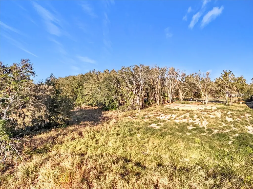 15437 Pendio Drive Montverde FL 34756