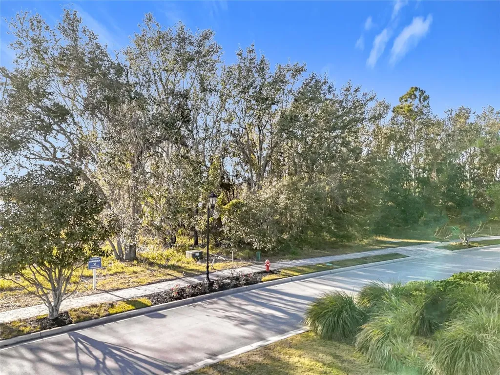 15437 Pendio Drive Montverde FL 34756