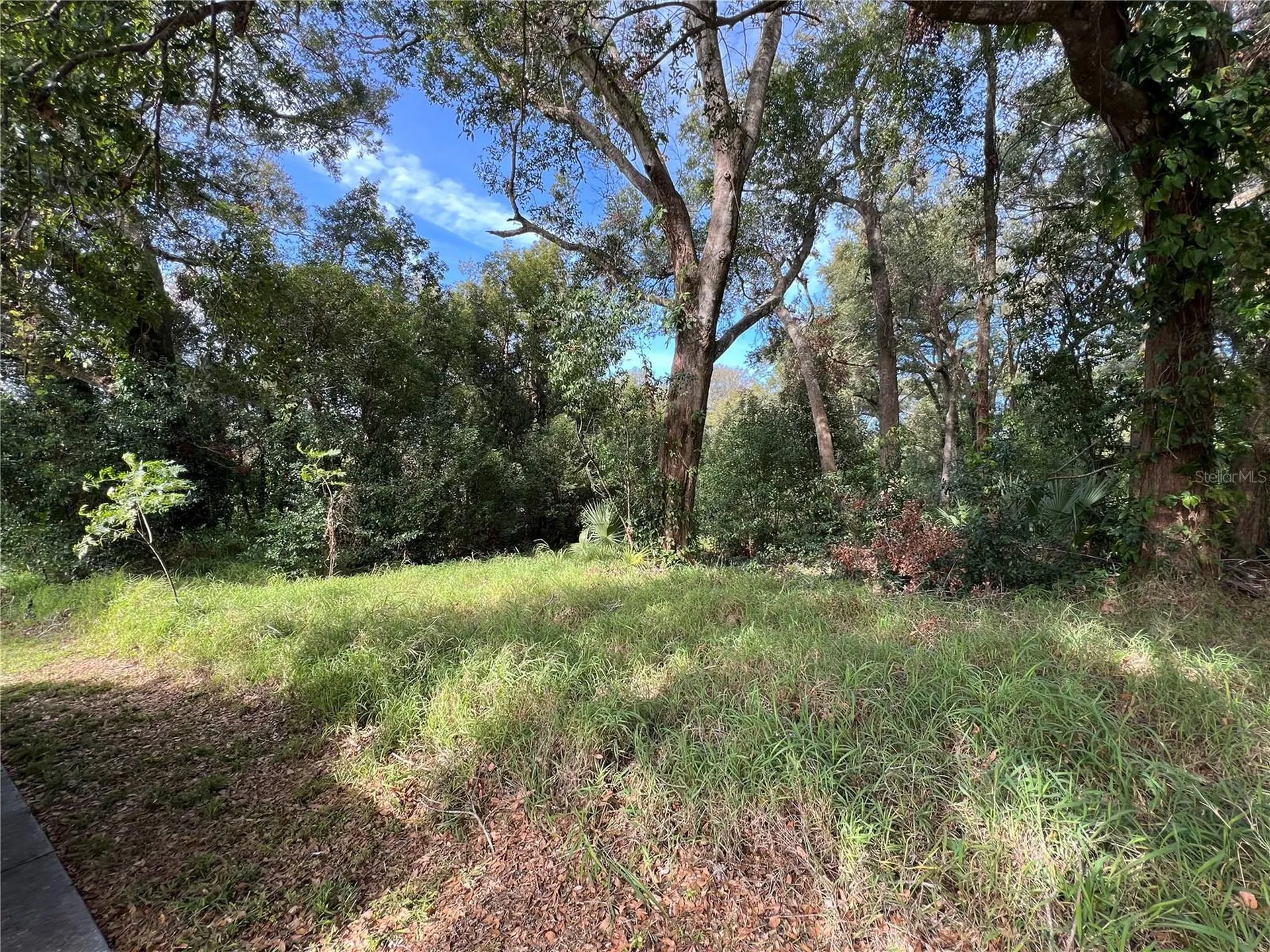 875 Ocoee Apopka Road Apopka FL 32703