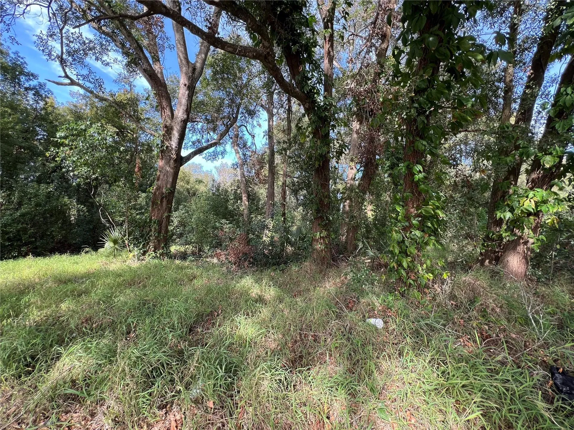 875 Ocoee Apopka Road Apopka FL 32703