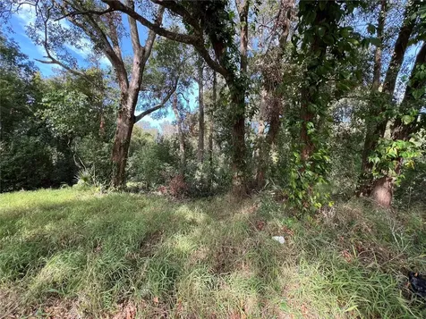 875 Ocoee Apopka Road Apopka FL 32703