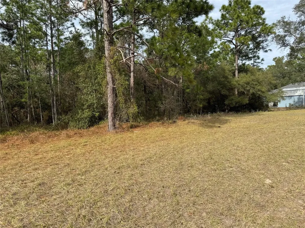 Lot 9 SW 61st Avenue Road Ocala FL 34473
