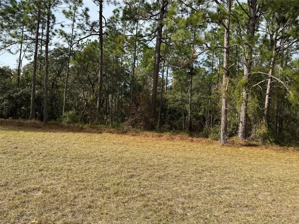 Lot 9 SW 61st Avenue Road Ocala FL 34473