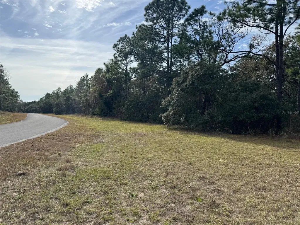 Lot 9 SW 61st Avenue Road Ocala FL 34473