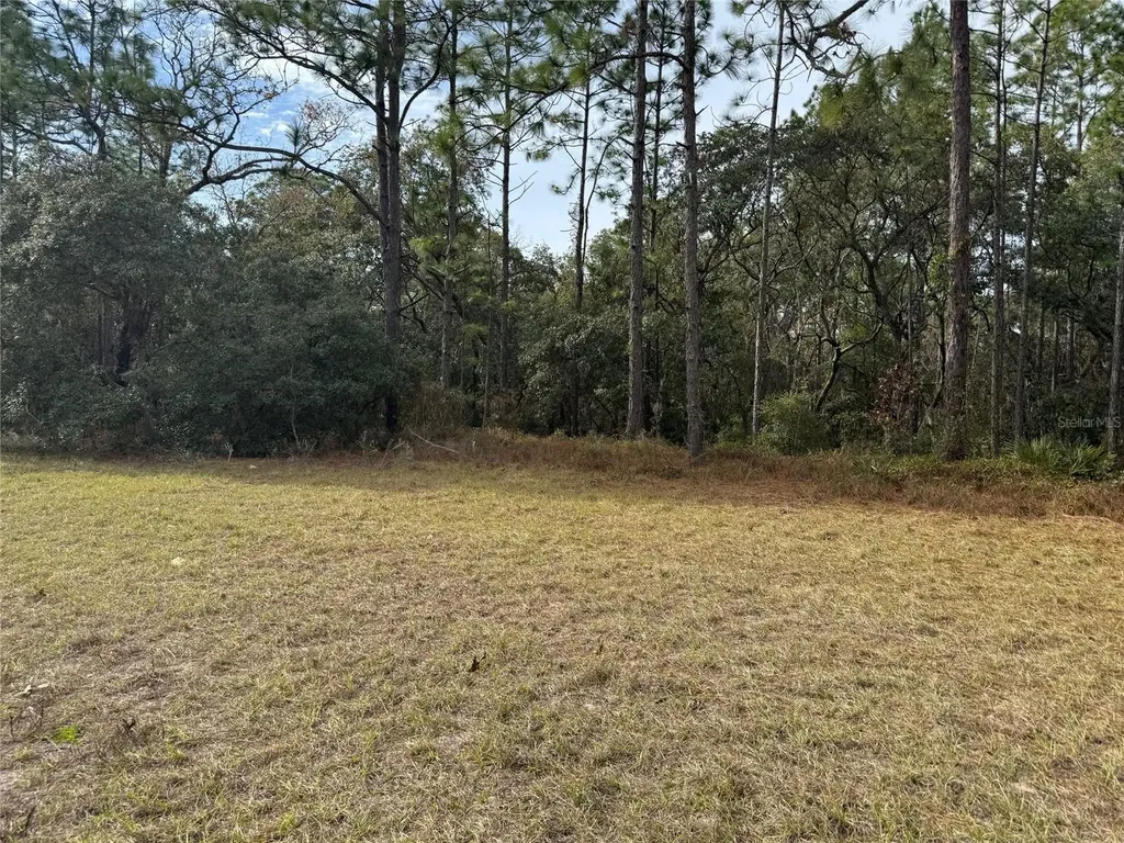 Lot 9 SW 61st Avenue Road Ocala FL 34473