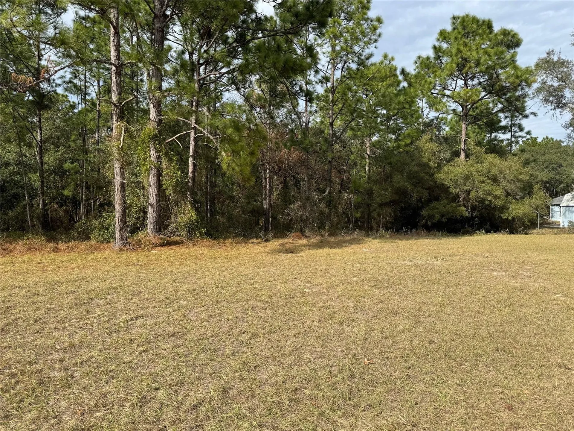 Lot 9 SW 61st Avenue Road Ocala FL 34473