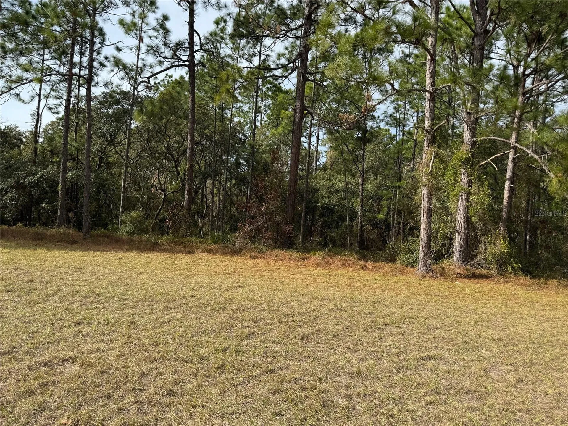 Lot 9 SW 61st Avenue Road Ocala FL 34473