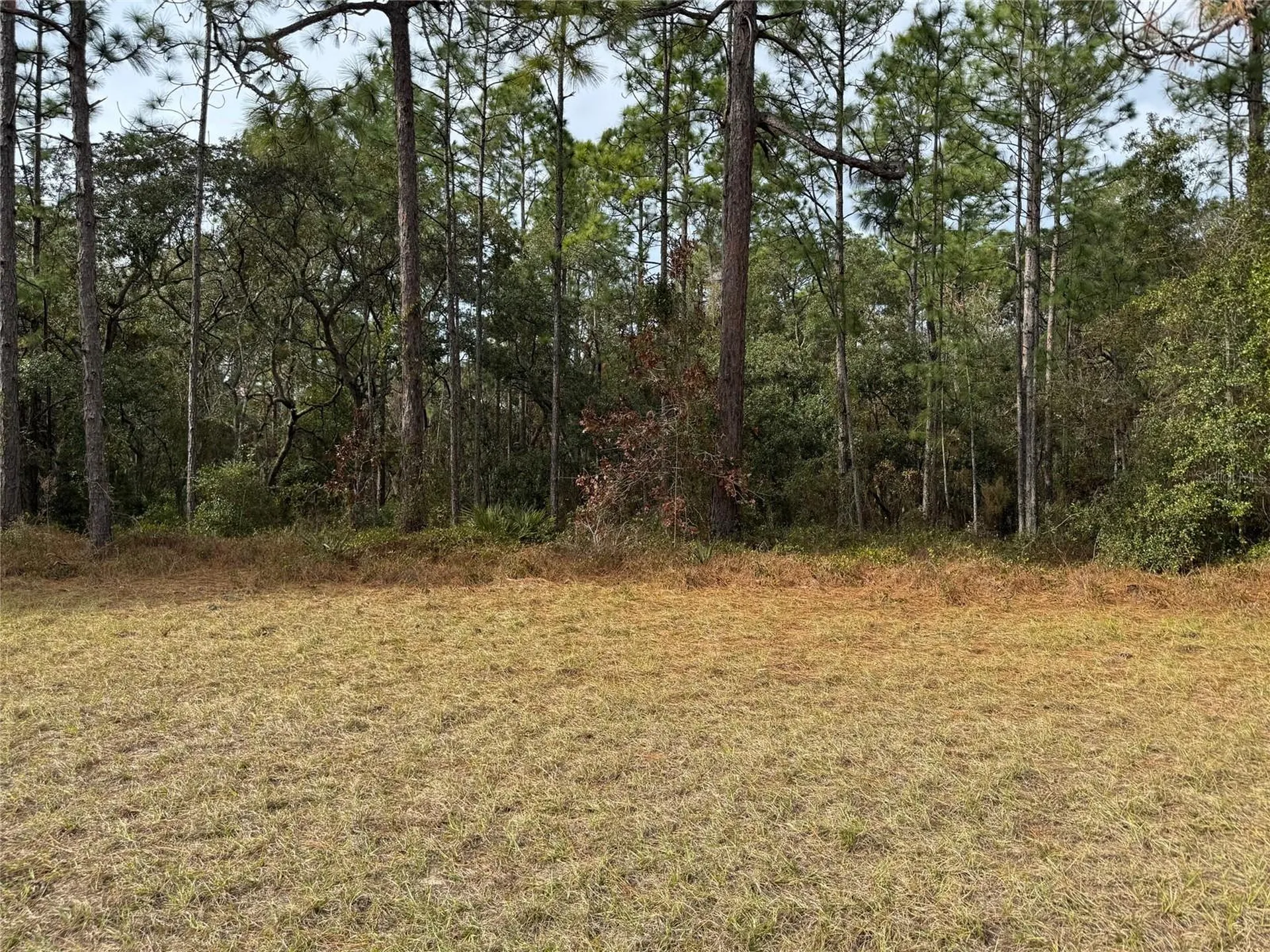 Lot 9 SW 61st Avenue Road Ocala FL 34473