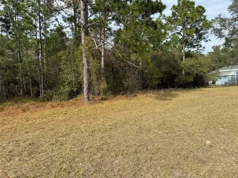 Lot 9 SW 61st Avenue Road Ocala FL 34473