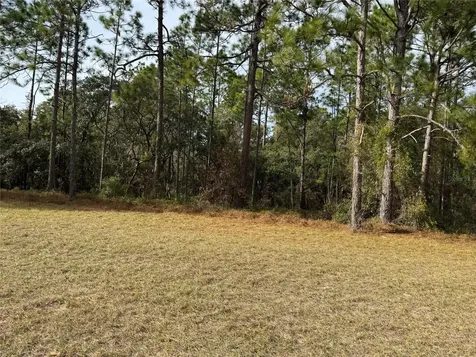 Lot 9 SW 61st Avenue Road Ocala FL 34473