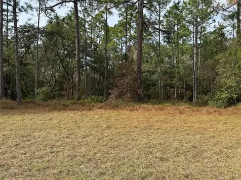 Lot 9 SW 61st Avenue Road Ocala FL 34473