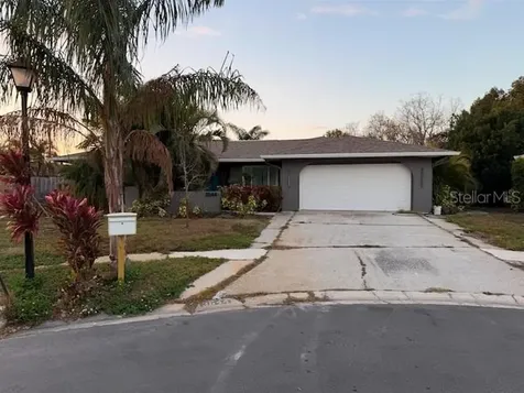 3544 Snowy Egret Court Palm Harbor FL 34683