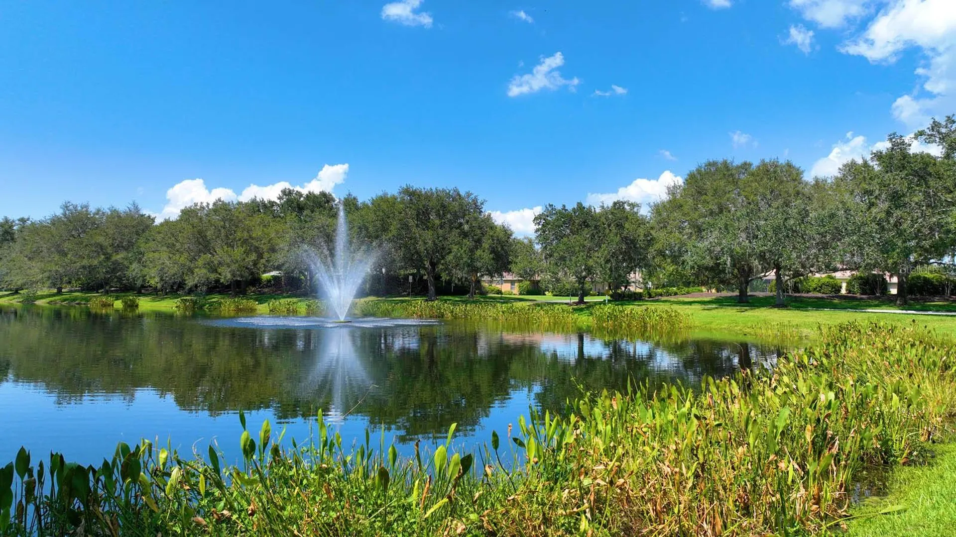 12338 Lavender Loop Bradenton FL 34212