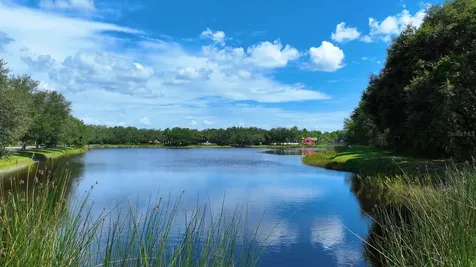 12338 Lavender Loop Bradenton FL 34212
