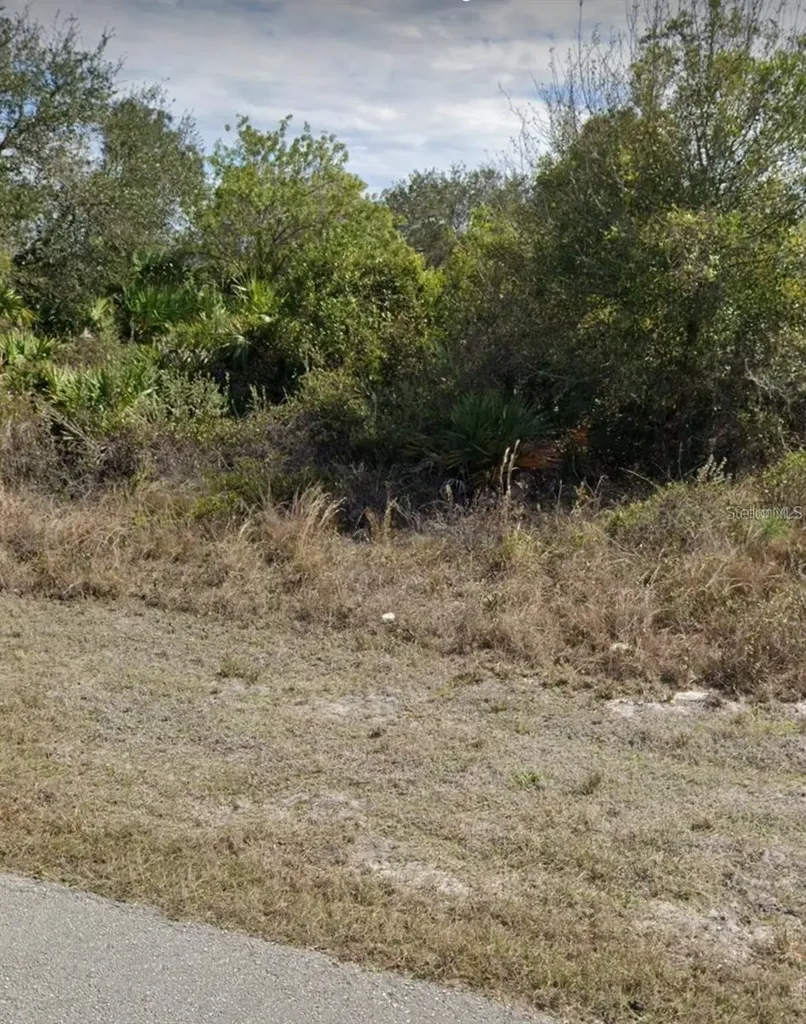 0 SW 142nd Court Ocala FL 34481
