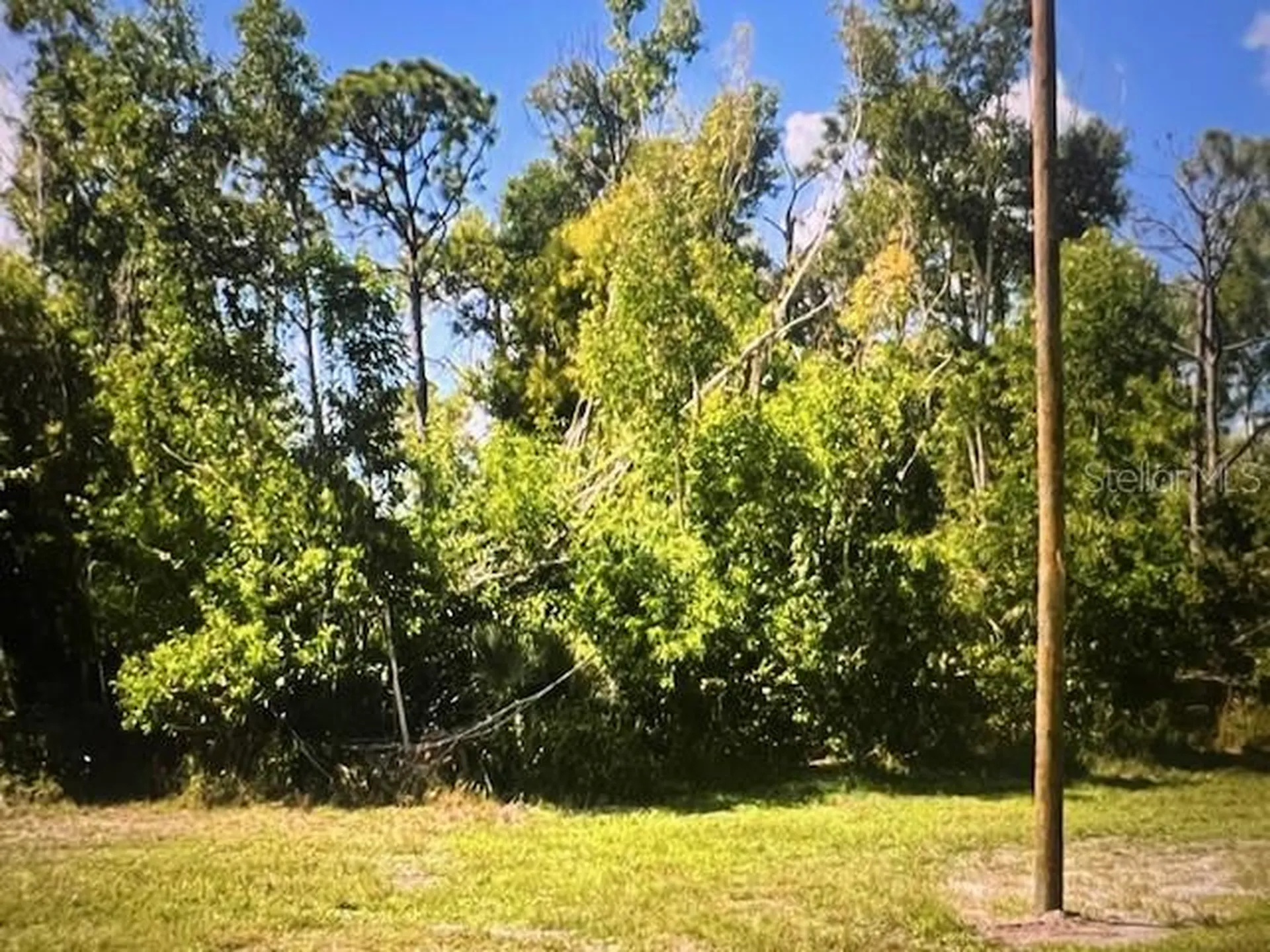 3808 NW 44th Terrace Cape Coral FL 33993