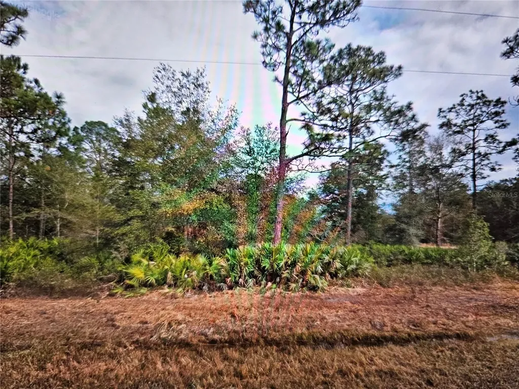Creager Avenue Interlachen FL 32148