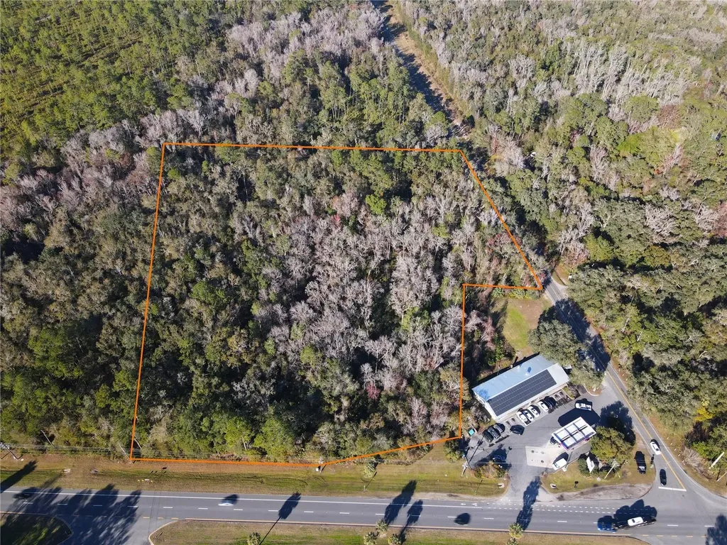 102 NE Highway 441 Micanopy FL 32667