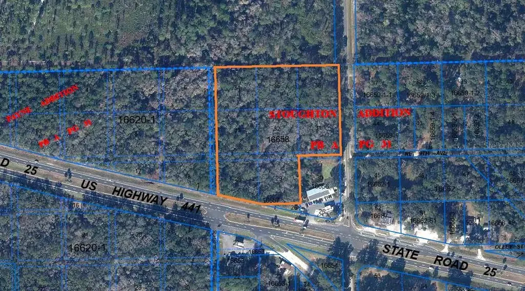 102 NE Highway 441 Micanopy FL 32667