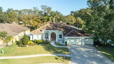 2801 Norwood Hills Lane Valrico FL 33596