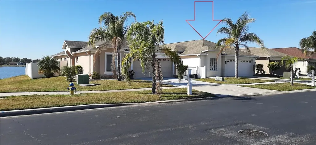31217 Triborough Drive Wesley Chapel FL 33545