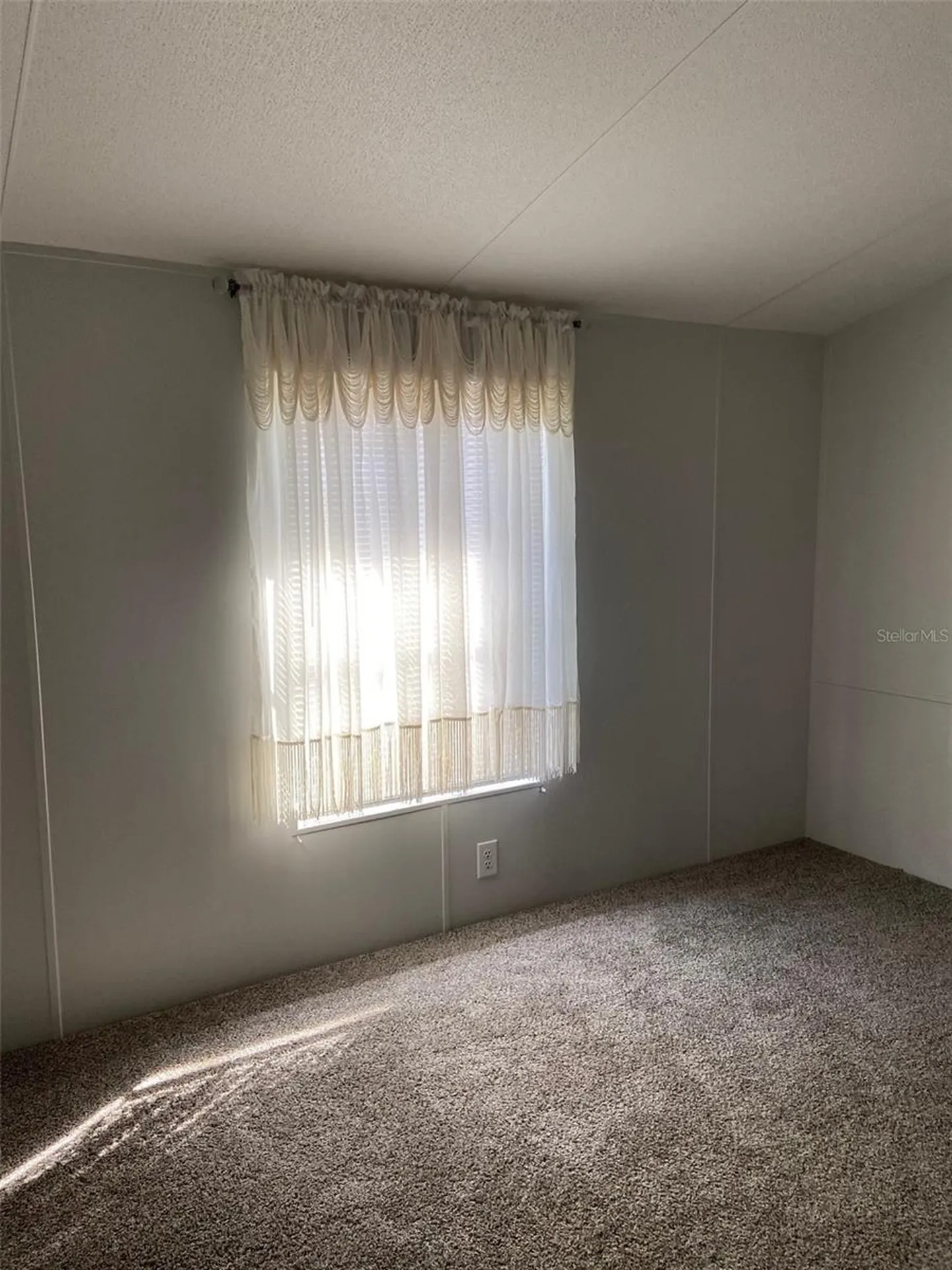 11743 Purdue Street New Port Richey FL 34654