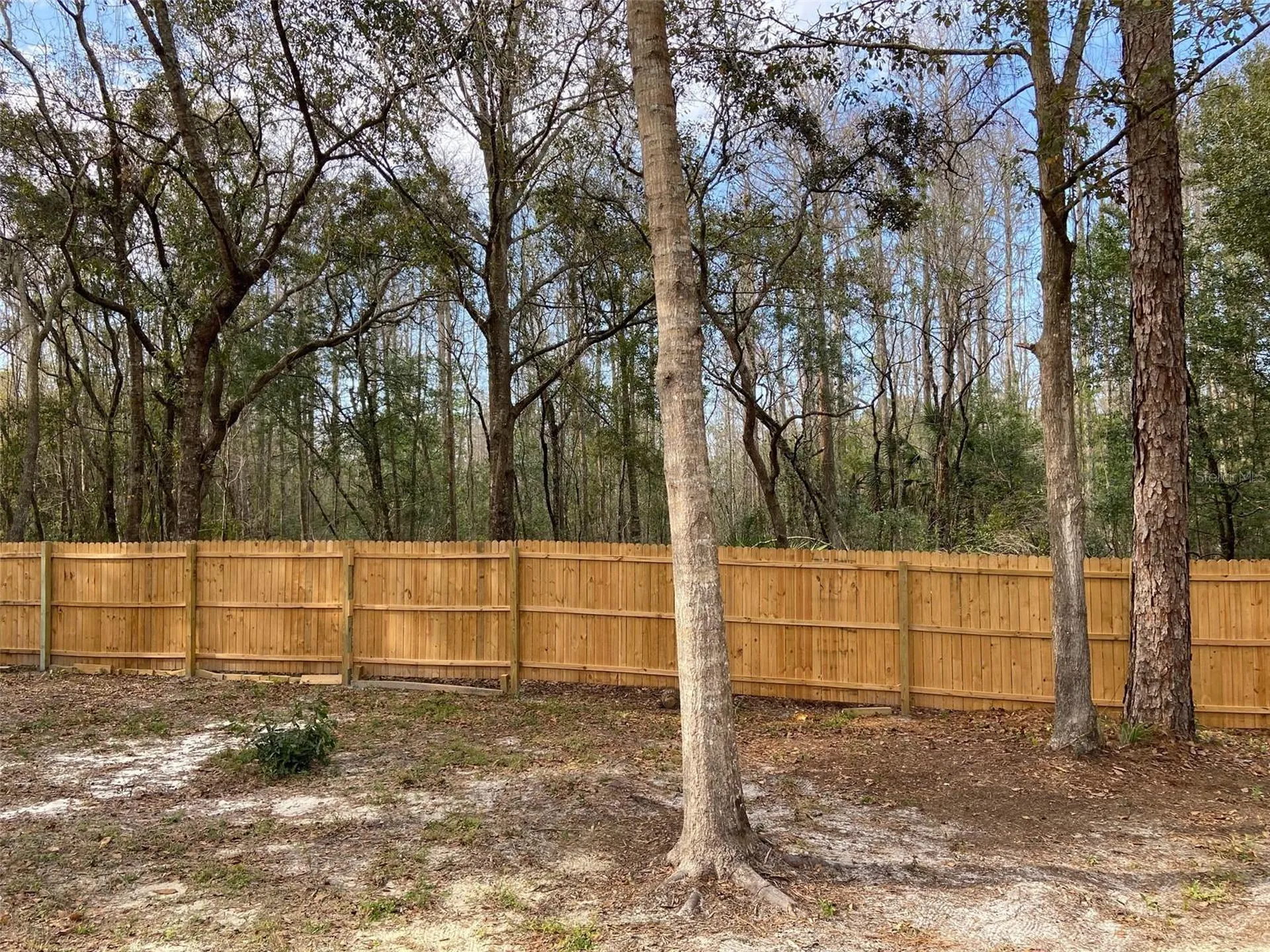 11743 Purdue Street New Port Richey FL 34654