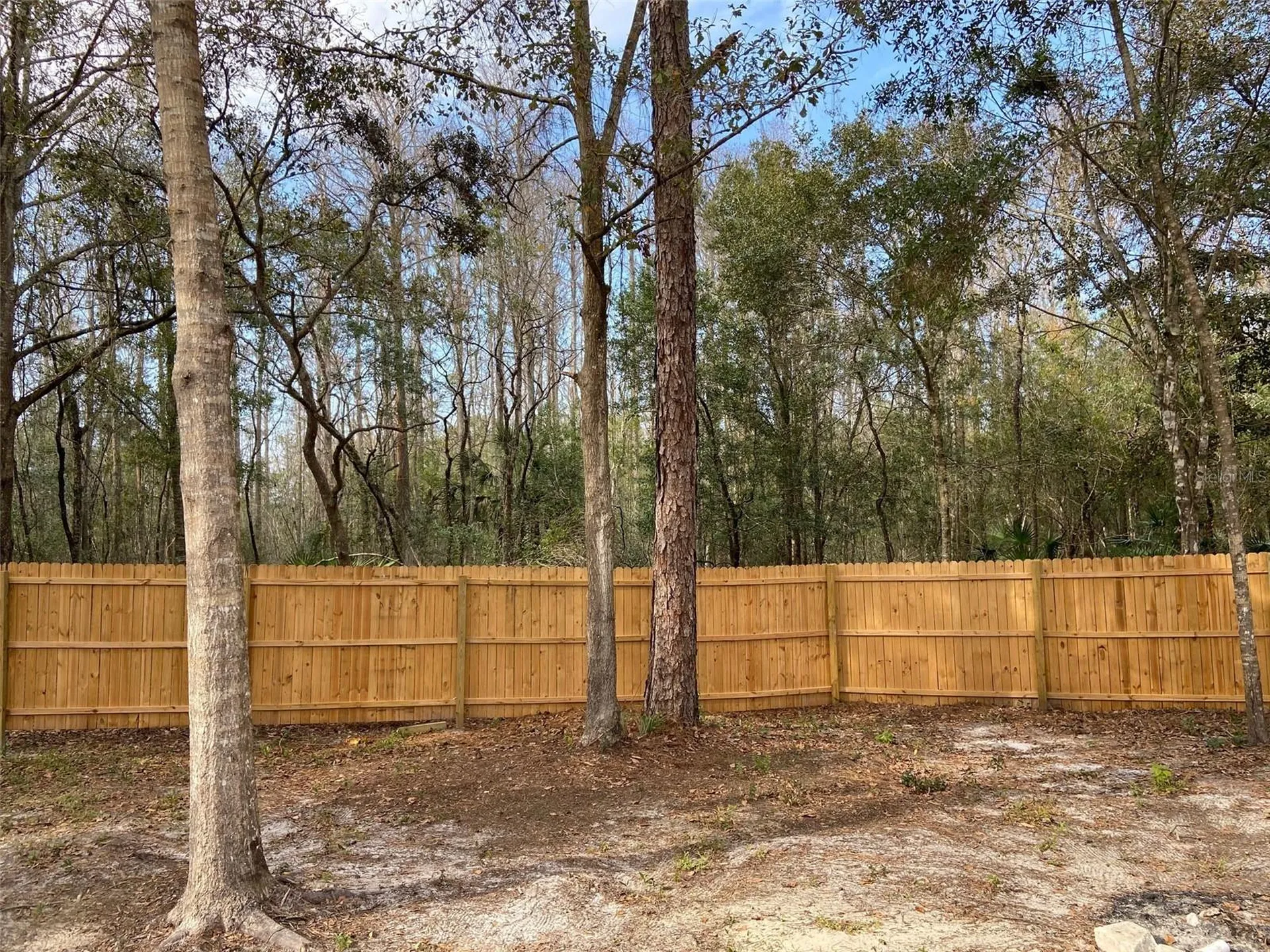 11743 Purdue Street New Port Richey FL 34654