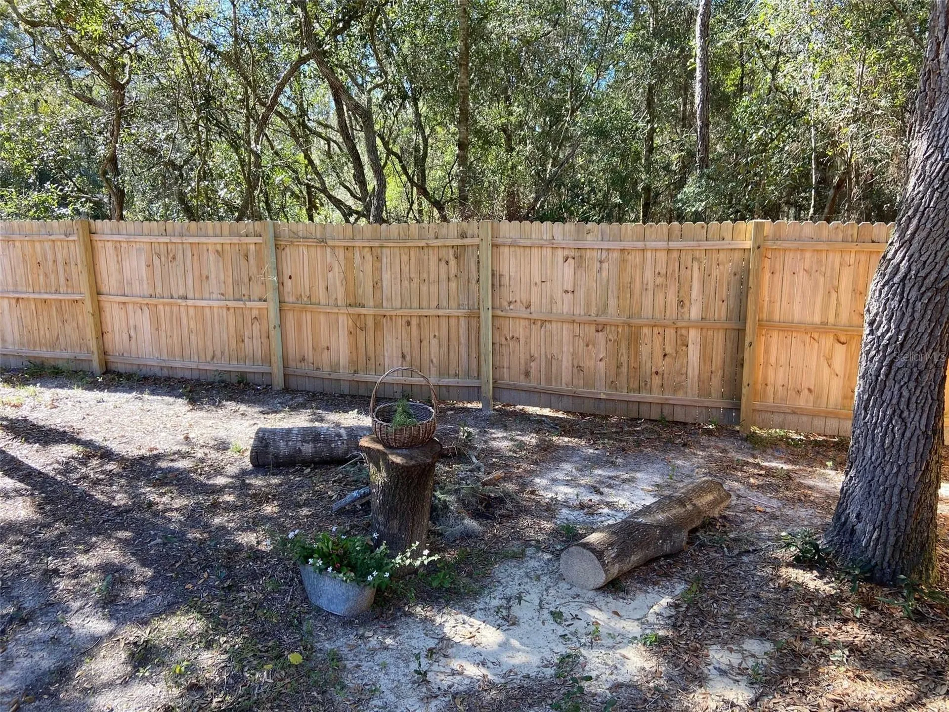 11743 Purdue Street New Port Richey FL 34654