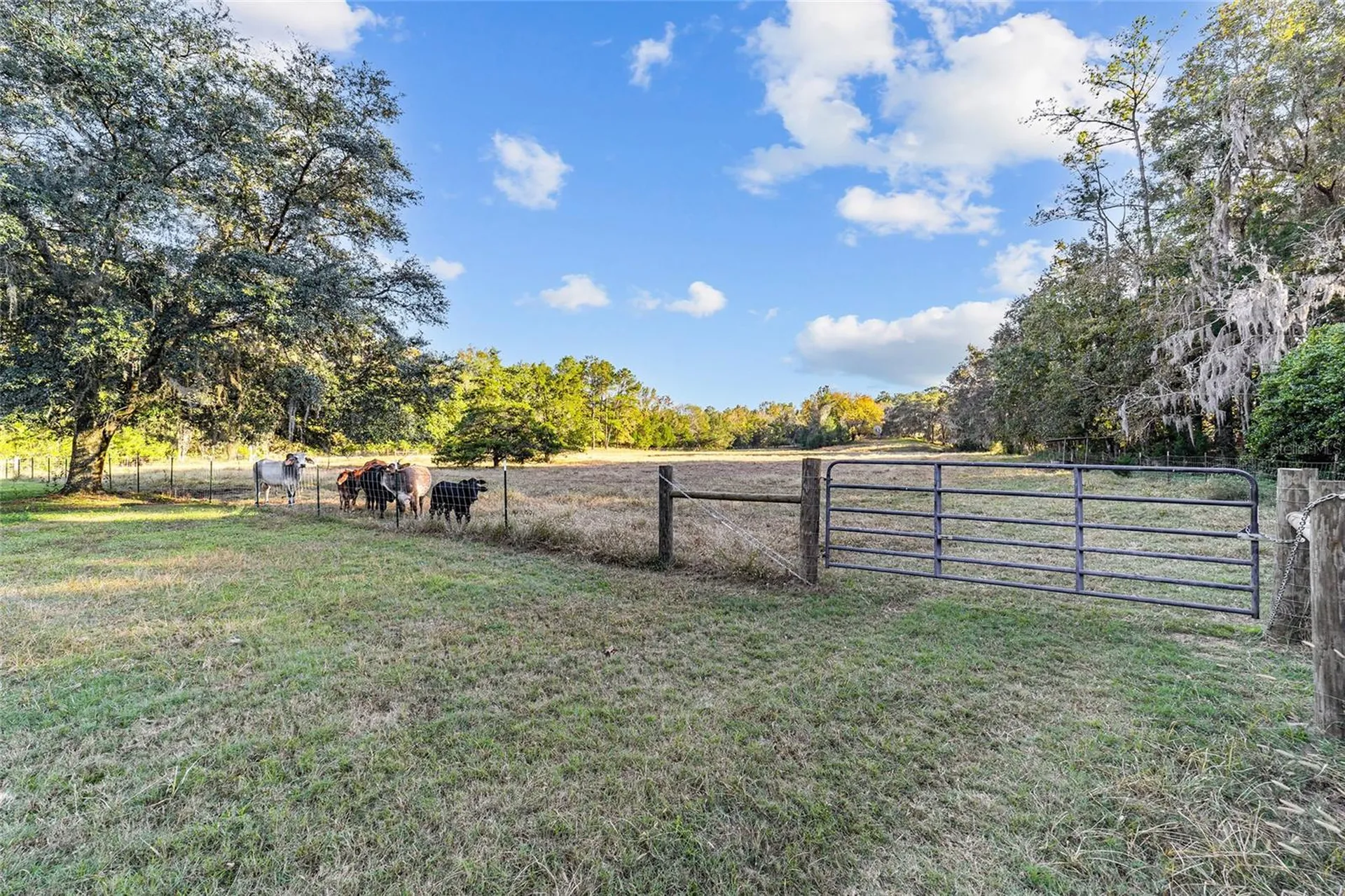 2821 SE 80th Street Ocala FL 34480