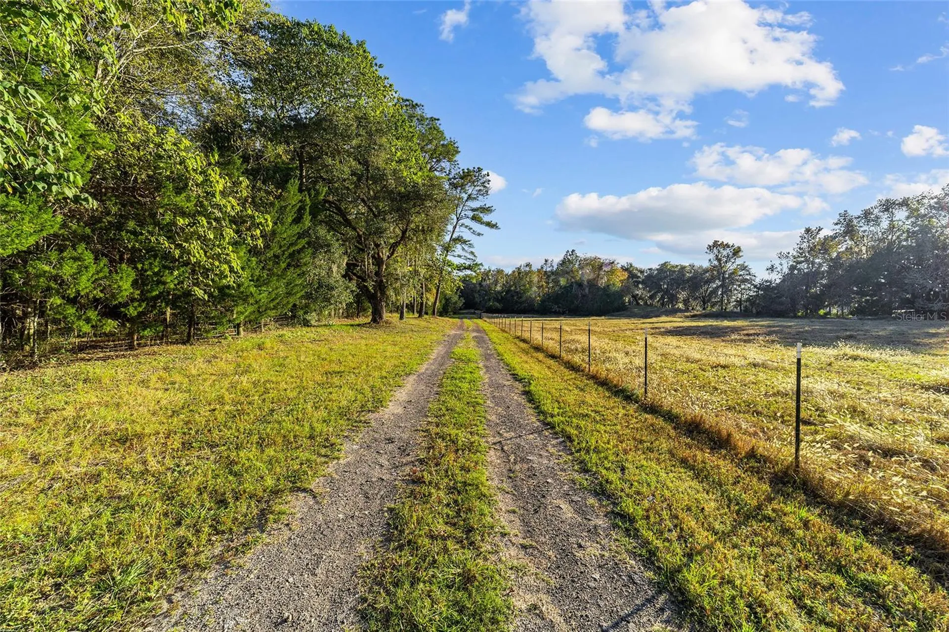 2821 SE 80th Street Ocala FL 34480