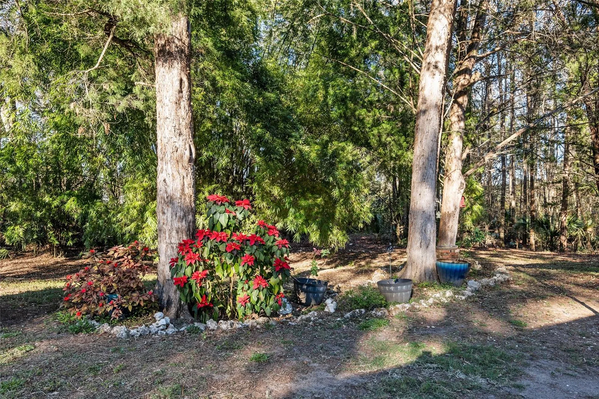 2821 SE 80th Street Ocala FL 34480