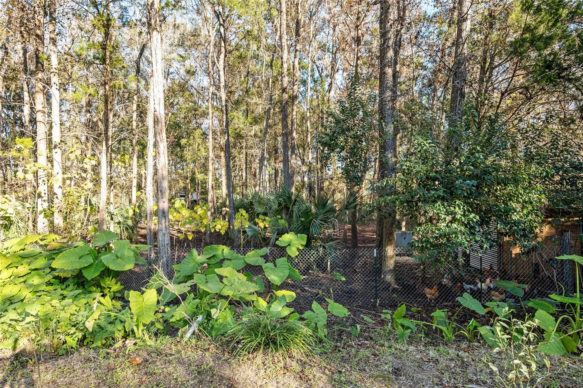 2821 SE 80th Street Ocala FL 34480