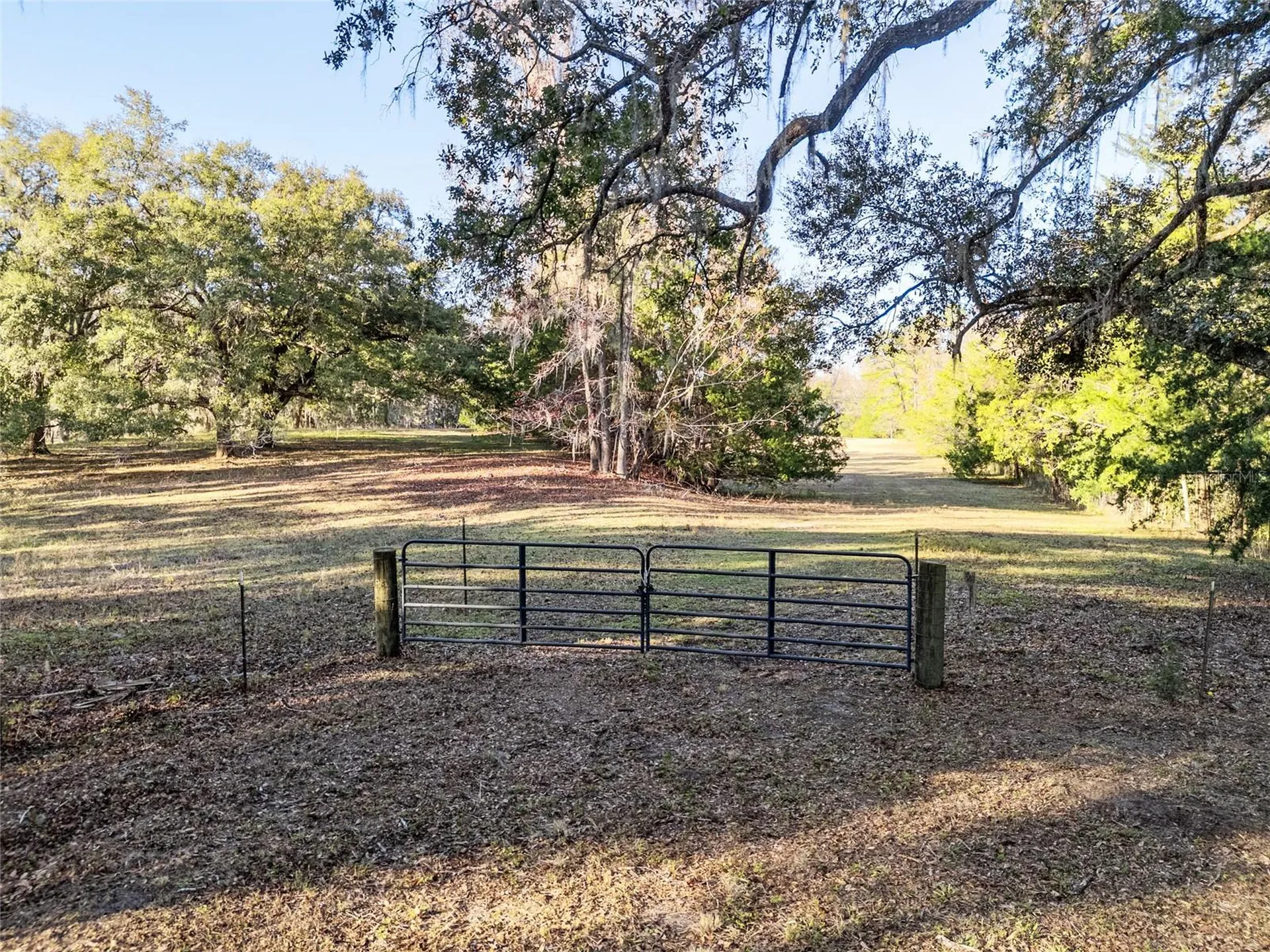 2821 SE 80th Street Ocala FL 34480