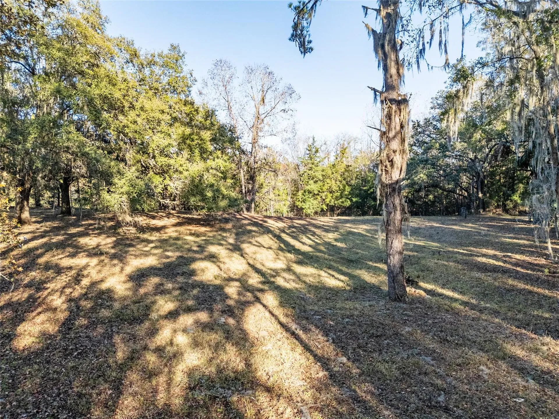 2821 SE 80th Street Ocala FL 34480