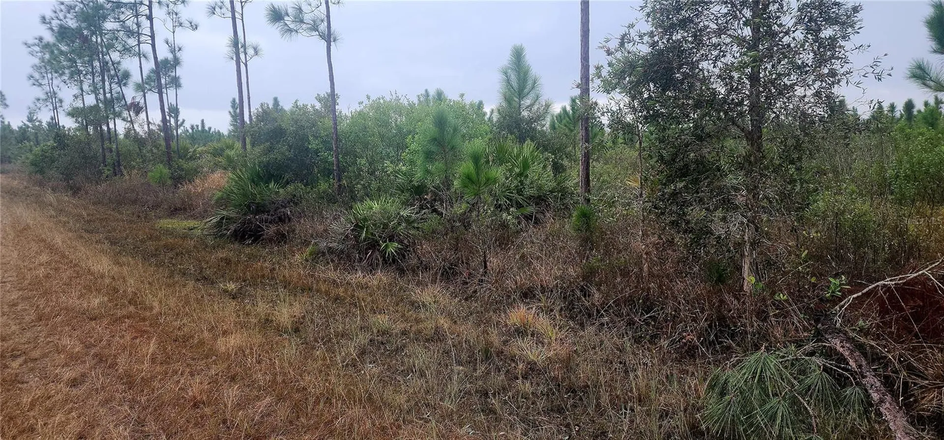 619 Calendula Drive Indian Lake Estates FL 33855