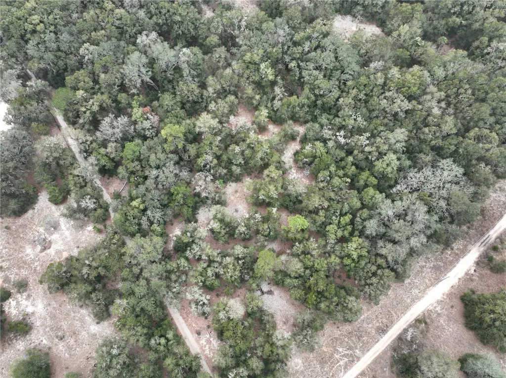 SE 100 Street Ocala FL 34472
