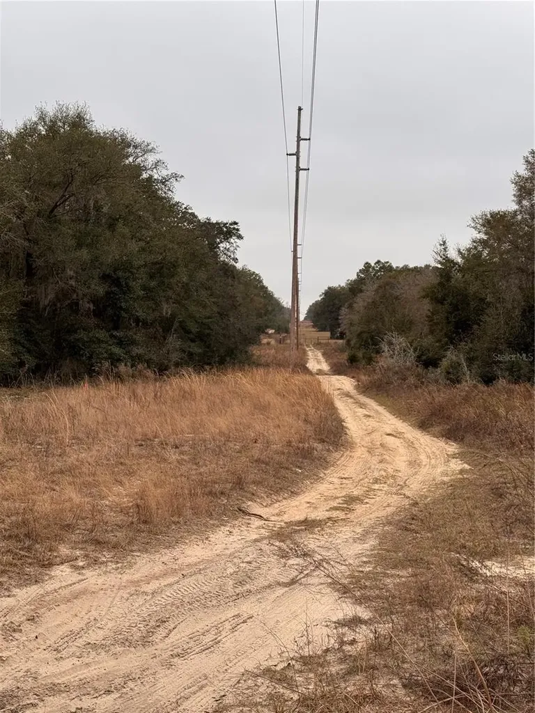SE 100 Street Ocala FL 34472