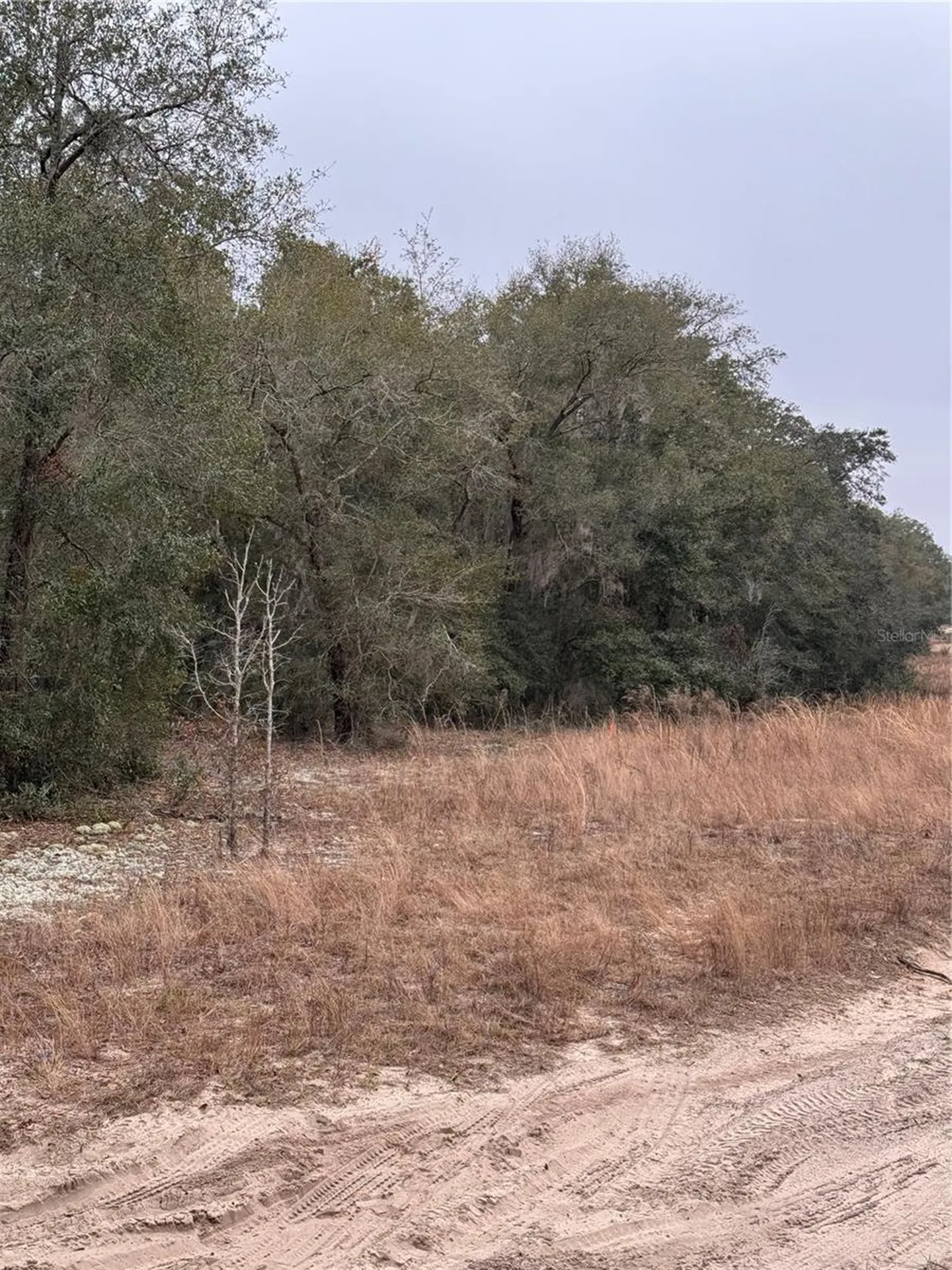 SE 100 Street Ocala FL 34472