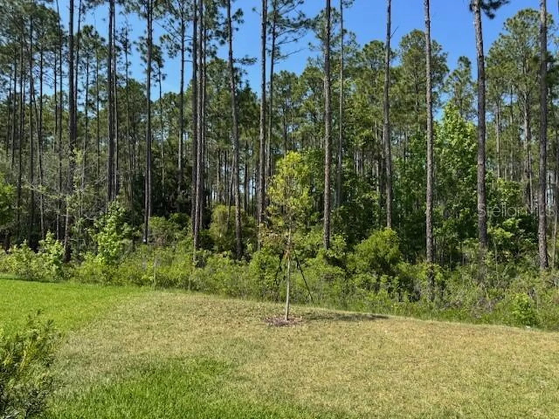 169 Greenwood Drive Palm Coast FL 32137