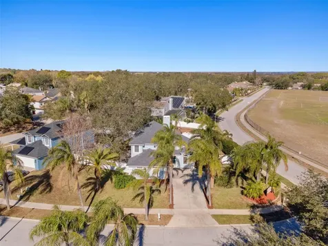2993 Shannon Circle Palm Harbor FL 34684