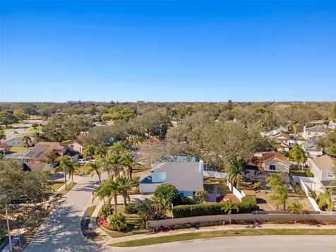 2993 Shannon Circle Palm Harbor FL 34684