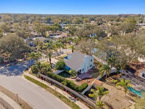 2993 Shannon Circle Palm Harbor FL 34684
