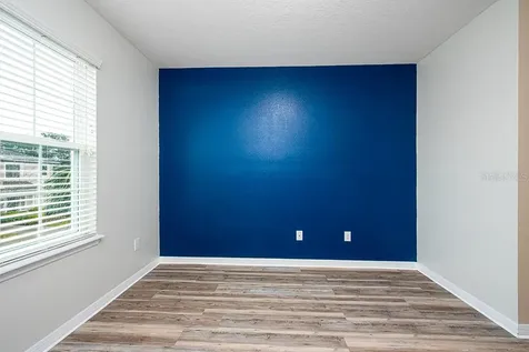 10415 Butterfly Wing Court Riverview FL 33578