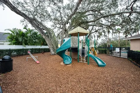 10415 Butterfly Wing Court Riverview FL 33578
